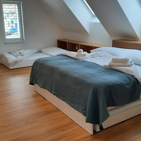 U Francuza Apartment Straznice