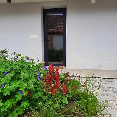 Apartment U Francuza Straznice